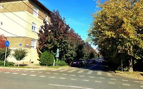 ORI Passion Apart. Malul Mureșului
